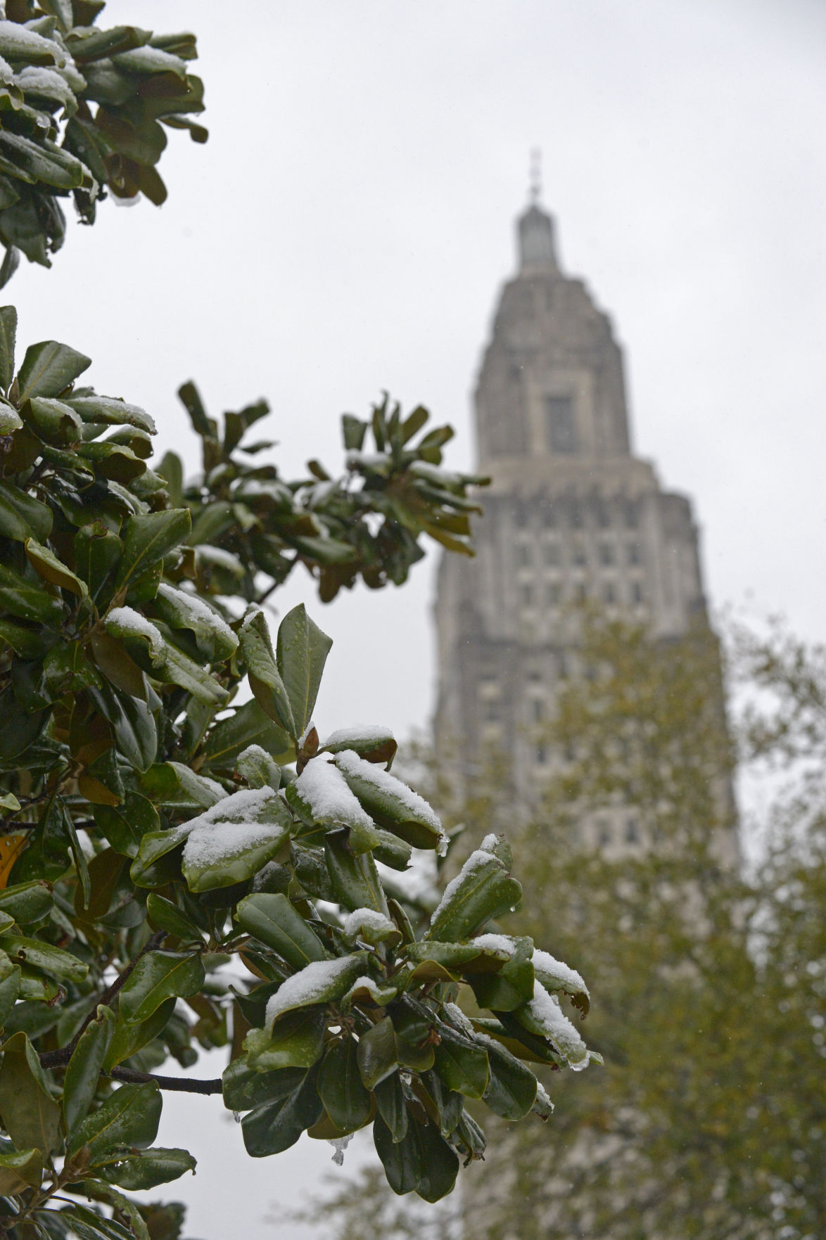 BR.snow.120917 HS 1333.JPG